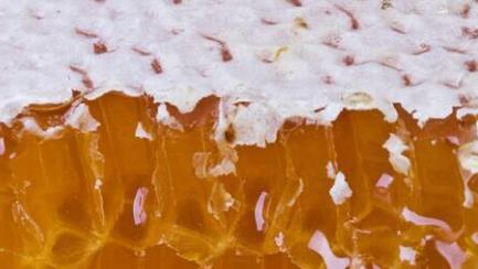 想要保持好的皮膚多吃有益的食物 這7種食物是天然護(hù)膚品