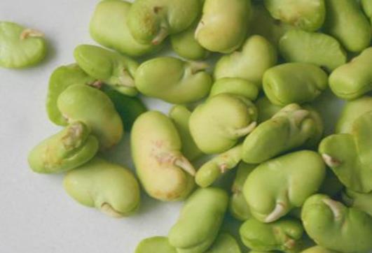 7種祛斑美容養(yǎng)膚豆湯