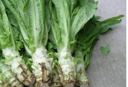 準(zhǔn)媽媽要特別注意預(yù)防皮膚病 夏日準(zhǔn)媽媽的皮膚問題