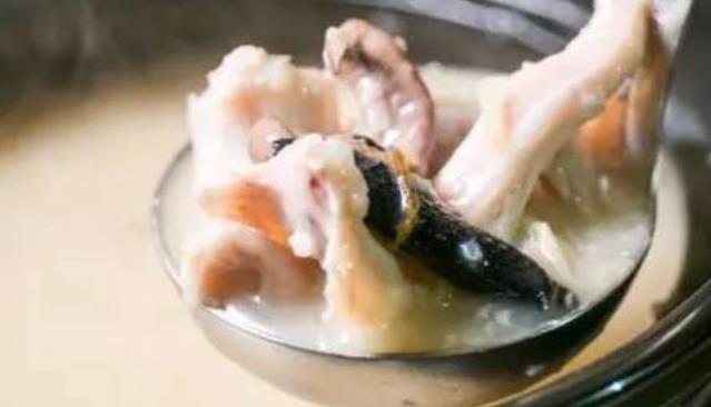 教你用食物療法巧防皮膚病 食物大有用處