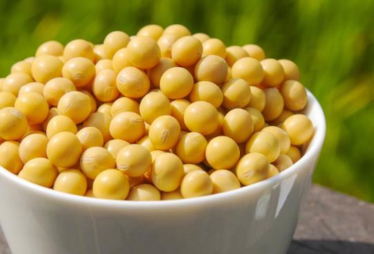 養(yǎng)膚護發(fā)小知識 橄欖油對養(yǎng)膚有好處