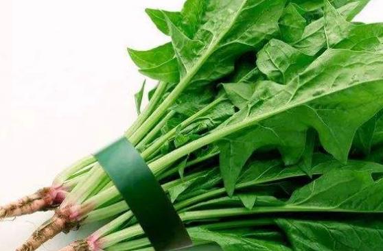 快速瘦臉養(yǎng)膚的5種食物 柿干對養(yǎng)膚有好處