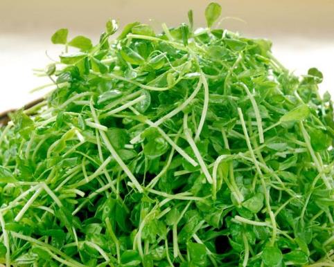 快速瘦臉養(yǎng)膚的5種食物 柿干對養(yǎng)膚有好處