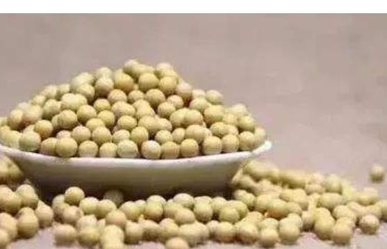 皮膚最愛的食物 吃大豆對(duì)養(yǎng)膚有好處