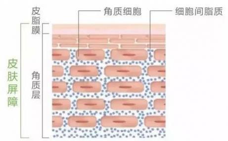 敏感肌曬后修復(fù)怎么辦?創(chuàng)爾美面膜和小魔瓶修復(fù)精華來拯救