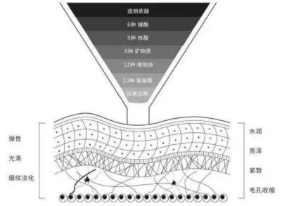 菲洛嘉價(jià)格貴不貴?北京伊美爾紫竹幫你恢復(fù)水潤(rùn)美白