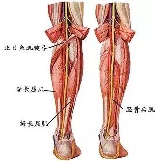 天津河?xùn)|美萊醫(yī)院整形好么 點(diǎn)燃您的靚麗豐采