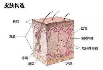 北京伊美爾醫(yī)療醫(yī)院:去疤痕多少錢