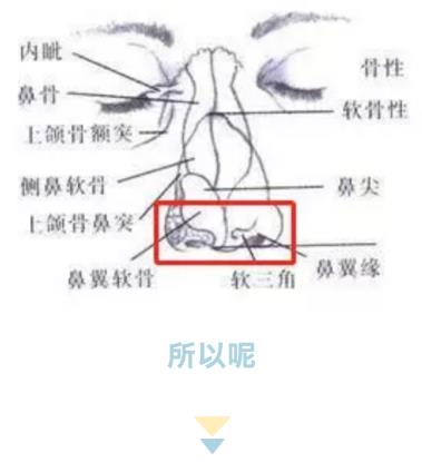 廈門臉博士整形醫(yī)院埃菲爾隆鼻 自然美鼻大家共享