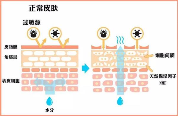 南京韓辰整形醫(yī)院精湛醫(yī)術(shù) 您原來(lái)可以如此美麗