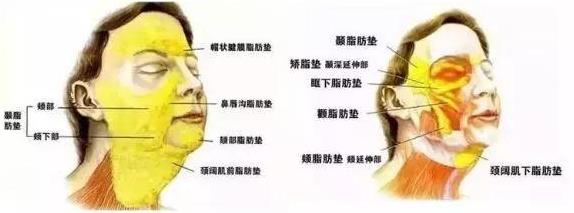 北京伊美爾幸福醫(yī)院姚紅偉:超聲刀和線雕哪個更好