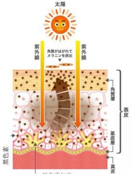 北京伊美爾健翔醫(yī)院:玻尿酸除皺的價(jià)格