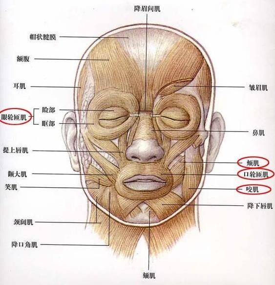 南京韓辰整形醫(yī)院費用 微整形成就靚麗女人