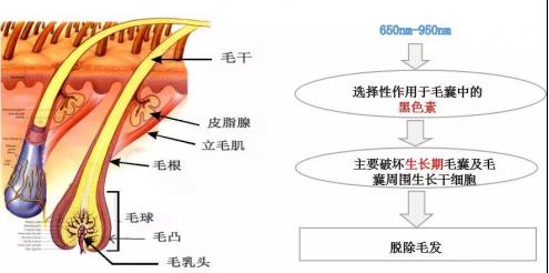 家恩德仁醫(yī)院醫(yī)美中心:成年人的逆襲,從注重并改變外形開始!