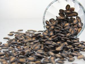 吃瓜子會(huì)胖嗎？吃瓜子對(duì)減肥的影響