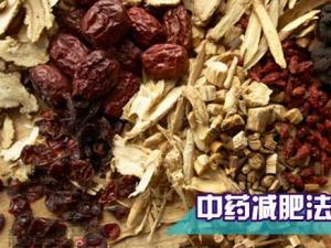 哪種中藥減肥效果好？吃什么中藥可以減肥