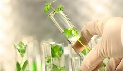 波斯麗爾效果怎么樣?波斯麗爾倍受千萬(wàn)女性熱捧