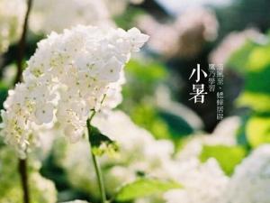 小暑什么意思？小暑怎么預(yù)防中暑