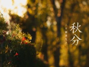 秋分是什么時候？秋分飲食的五大建議