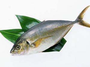 魚刺卡在喉嚨里怎么辦？取喉嚨魚刺技巧