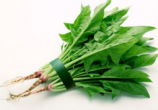 吃菠菜可降低結(jié)腸癌風(fēng)險-菠菜的作用