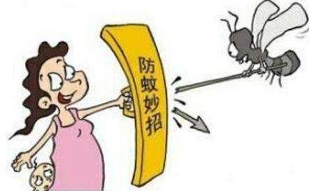 夏季蚊蠅增多,蚊蠅是否會傳播新冠病毒?如何預(yù)防被蚊子叮咬?