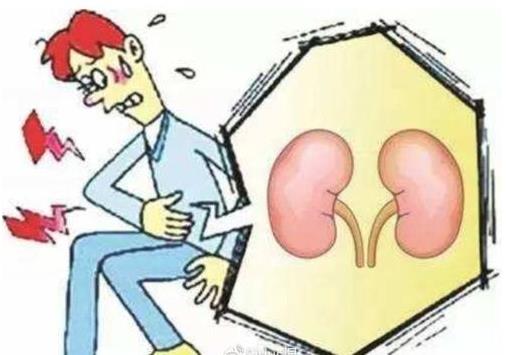 【杉寶解讀】NAD +的從頭合成途徑受損會(huì)導(dǎo)致急性腎損傷