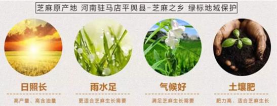 九蒸九曬黑芝麻丸口感怎么樣,連吃一年會(huì)上火嗎?