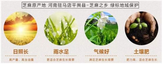 為什么河南駐馬店村里味的黑芝麻丸功效比較好?