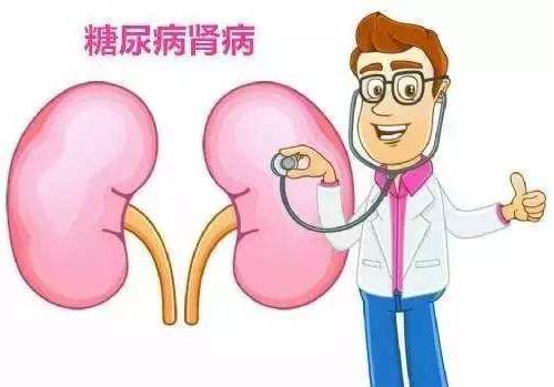 杉寶解讀:服用NMN,或能減輕糖尿病腎病