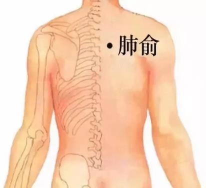 什么是三伏貼?三伏貼為什么在三伏天貼敷(最全三伏貼知識)