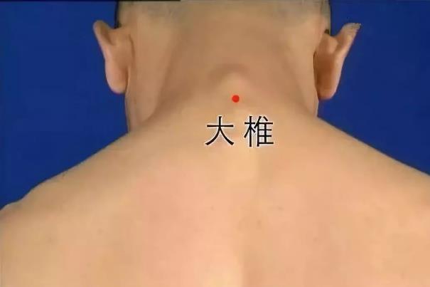 什么是三伏貼?三伏貼為什么在三伏天貼敷(最全三伏貼知識)