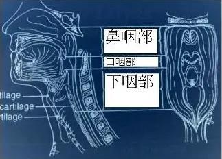 成都民生耳鼻喉專家提醒:下咽癌癥狀隱蔽,早期難以發(fā)現(xiàn)!