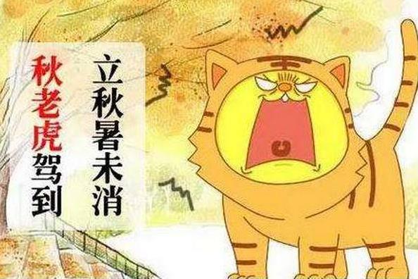 秋老虎是什么節(jié)氣什么時候,秋老虎有多少天(立秋后8月至9月間)