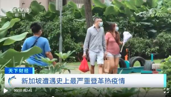 新加坡遭遇史上最嚴(yán)重登革熱疫情,感染病例已超2萬,死亡19例