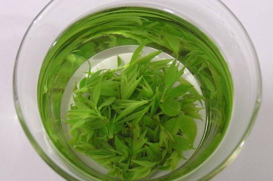 茶喝太多會傷腎嗎?喝茶傷腎的原因有哪些?
