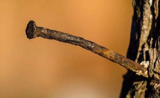 患破傷風有哪些癥狀?患破傷風對人體有哪些危害(并發(fā)癥)