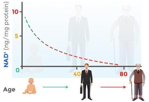 增免疫抗衰老,杉寶NMN助力老年健康
