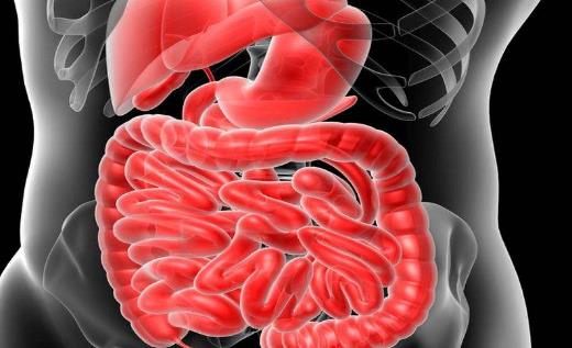 結(jié)腸息肉有哪些治療偏方?結(jié)腸息肉不要吃那些食物?