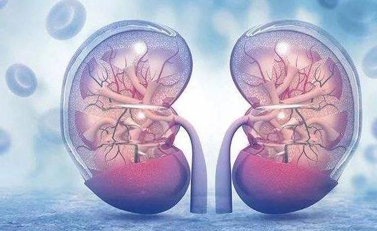 引發(fā)糖尿病性腎病的原因有哪些?怎么預(yù)防糖尿病性腎?
