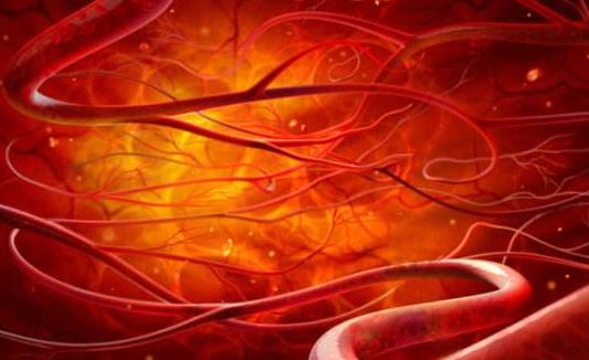 引發(fā)糖尿病性腎病的原因有哪些?怎么預(yù)防糖尿病性腎?