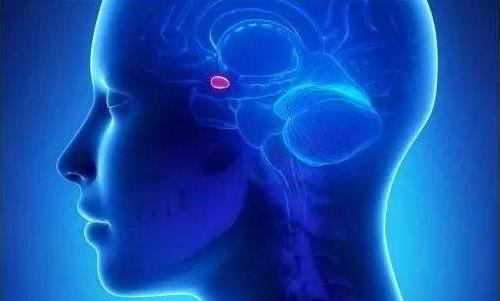 引起腦腫瘤的病因有哪些?患腦腫瘤有哪些危害?