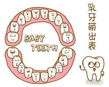 全民愛牙公益行動(dòng)家庭醫(yī)生口腔23周年慶拔牙23元