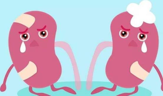 梗阻性腎病有哪些并發(fā)癥?梗阻性腎病的藥物治療?