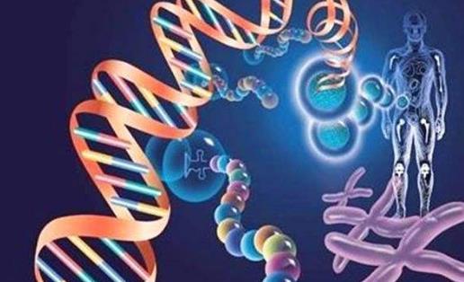 患躁狂抑郁癥的原因有哪些?躁狂抑郁癥怎么護(hù)理?