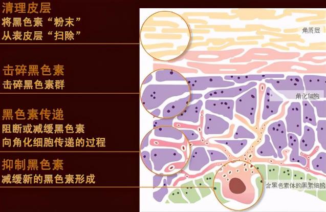 北京京醫(yī)中醫(yī)醫(yī)院幾級(jí)醫(yī)院 北京京醫(yī)中醫(yī)院在什么地方