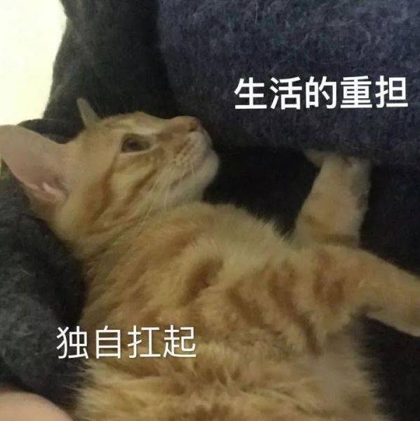 手上癢癢的長了很多小疙瘩,一撓就出水怎么回事