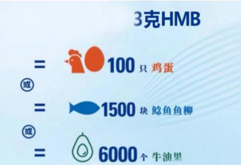 肌肉流失怎么辦?這種中老年奶粉是時(shí)候著手準(zhǔn)備了