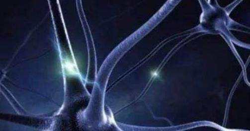 引起癲癇的原因有哪些?癲癇的藥物治療有哪些?