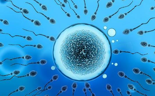 引起精子成活率低的病因,怎么提高精子成活率?
